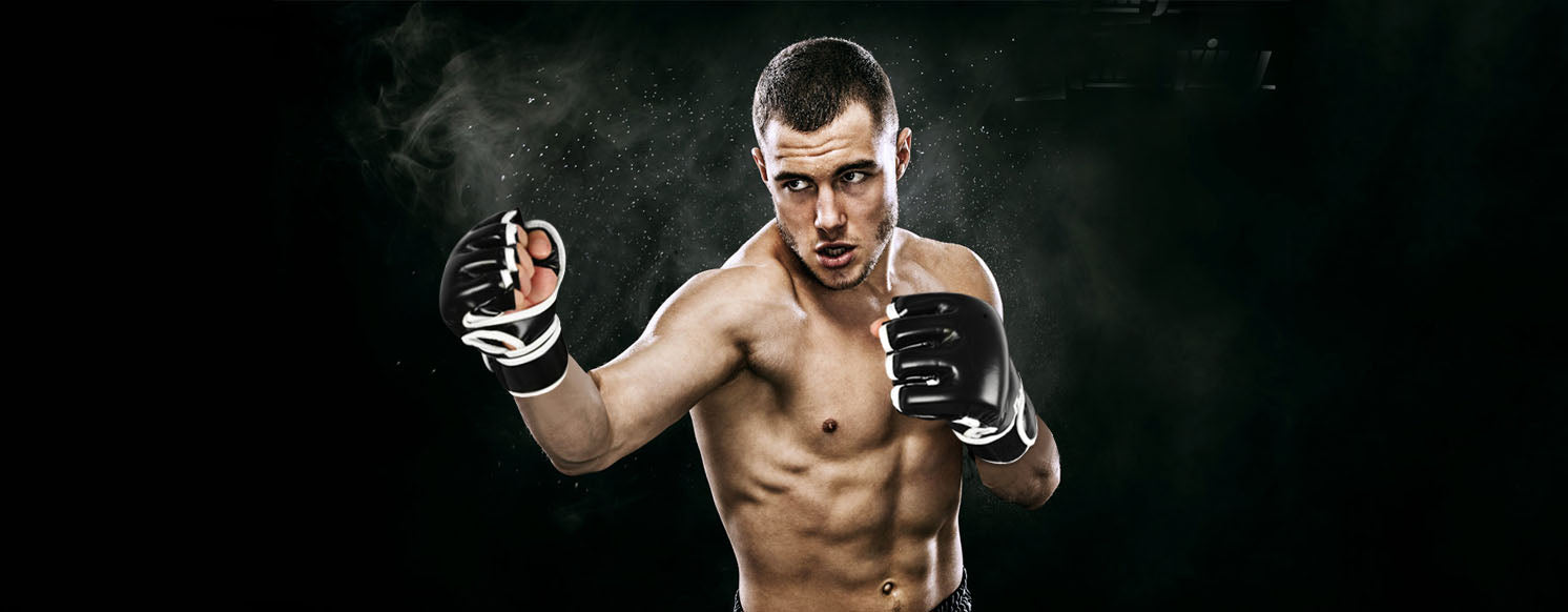 mma boxing gloves